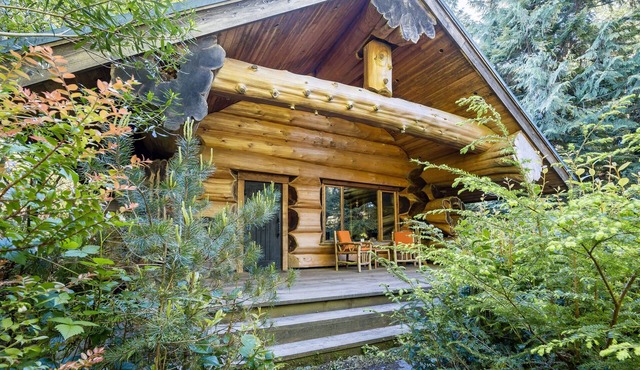 Copper Cabin- Hot Tub, Luxury, Romantic