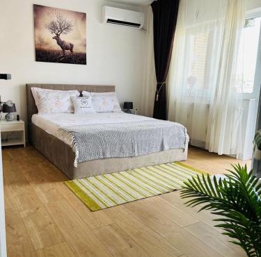Cosy Nest Deva in Deva
