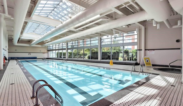 Cozy 1-bedroom Condo/Central Location/Pet Friendly