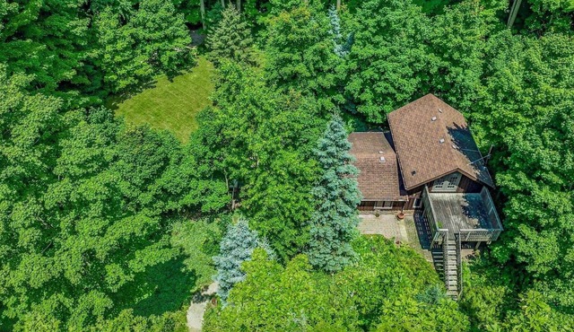 Cozy cabin near Toronto