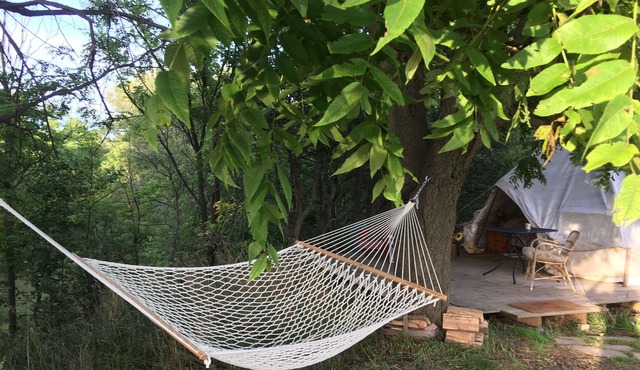 Cozy Cabin in the Country (Pet-Friendly!)