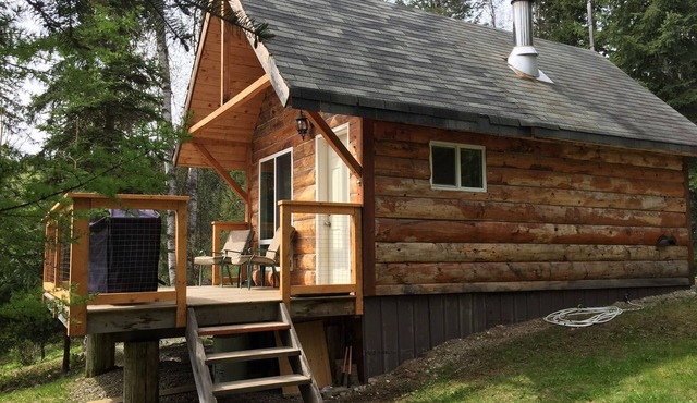 Cozy Cabin in the Rockies