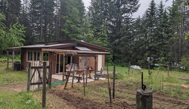 Cozy Cabin in the Woods