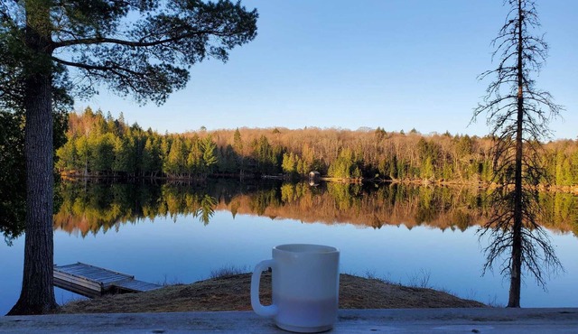 Cozy Cabin w/2000ft waterfront, 100+ acres to explore