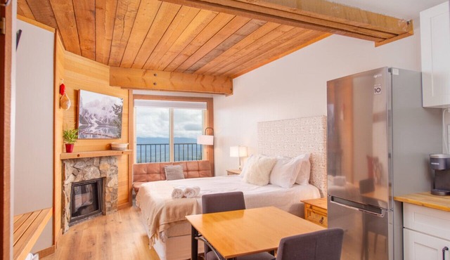 Cozy Mountain Studio