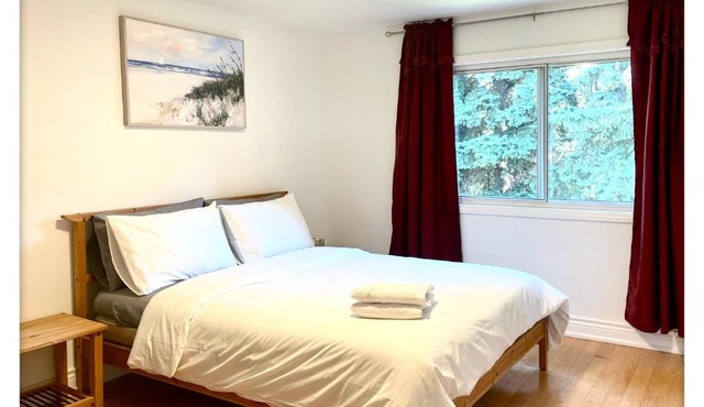 Cozy Queen room with Shared Bath near Seneca Donmills Finch