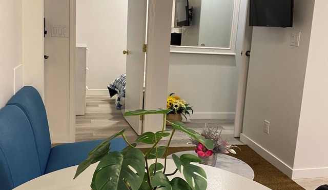 Cozy suite in convenient location