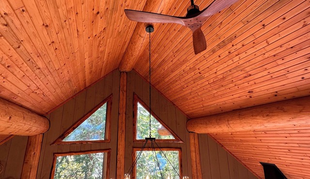 Creek side cabin in the woods with wood stove and deck - pet friendly!