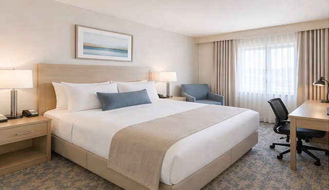 Downtown Toronto Gem with Extra Bed and Sofa Bed. Great central location! in Toronto