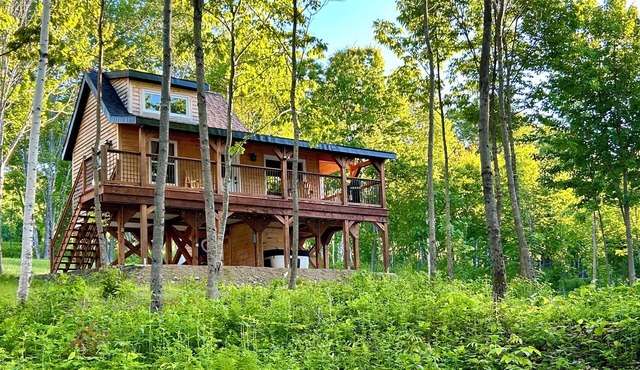 Elevated cabin nestled among the trees, and the Saint John River. Pet friendly.