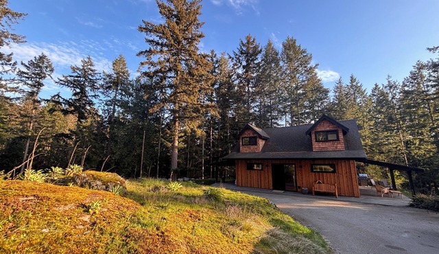 Eyrie house on Bowen Island. Oceanview and sunsets .Pet friendly