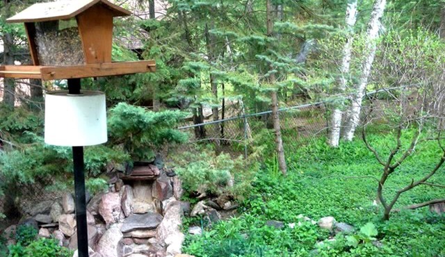 Family-Friendly Cottage Rental for Eight Guests in Wasaga Beach, Ontario