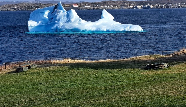 Family-Friendly Oceanfront Home, Home of the Cupids Iceberg!
