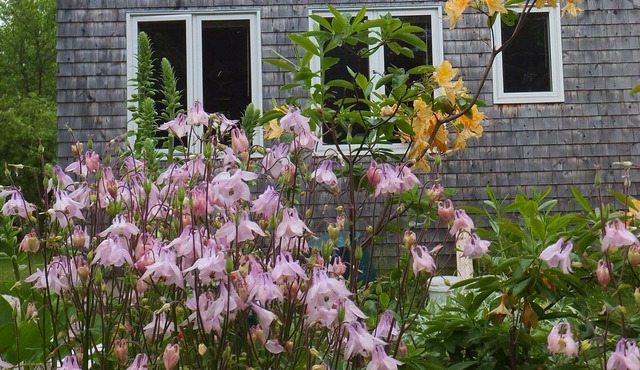 FieldStone Garden - Private & Peaceful