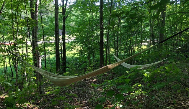 Firehouse lodge Walk out Deck room 5. On 8 Acres, 10 min Walk To The Lake