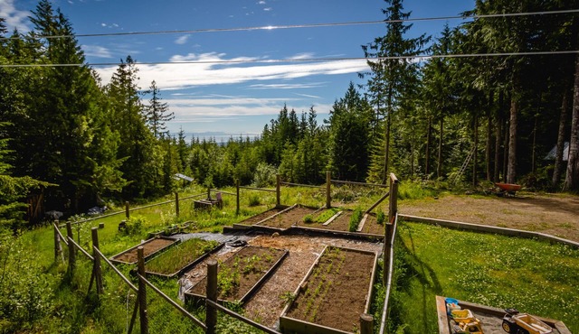 Forbidden Plateau Paradise with Hot Tub