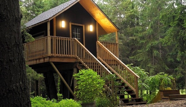 Forest Getaway