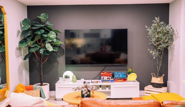 Full kitchen + TV Subscriptions + Luxurious bed