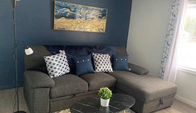 fully furnished 2 bedrooms house