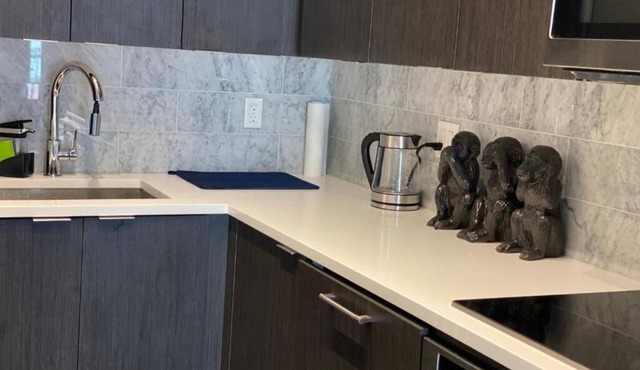 Fully Furnished spacious condo unit