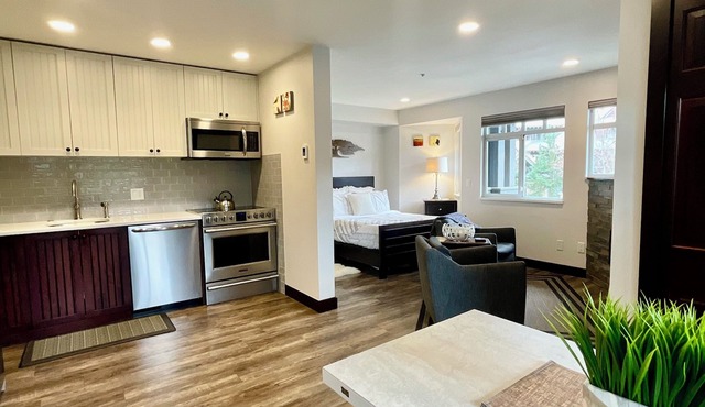 Fully renovated studio in heart of Whistler Village. WD + AC