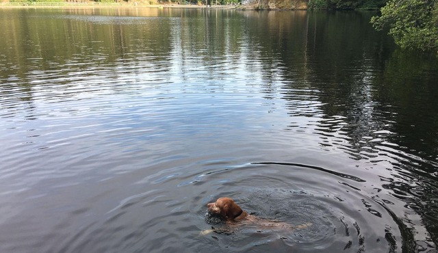 Fun Suite between two waters