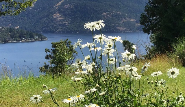 Gorgeous and private hillside view overlooking Maple Bay