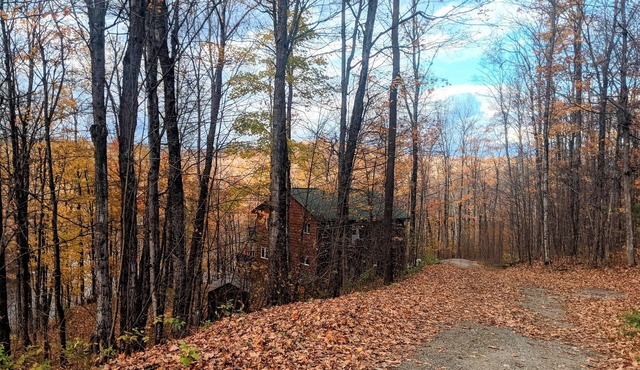 Haliburton Highlands Cottage Retreat - Your summer getaway awaits you!