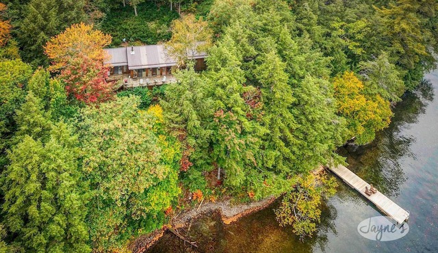 Hidden island gem on Lake Joe! Cozy and rustic 3bdrm with 500' of shoreline!