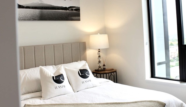 High Rise: One-Bedroom Downtown Condo