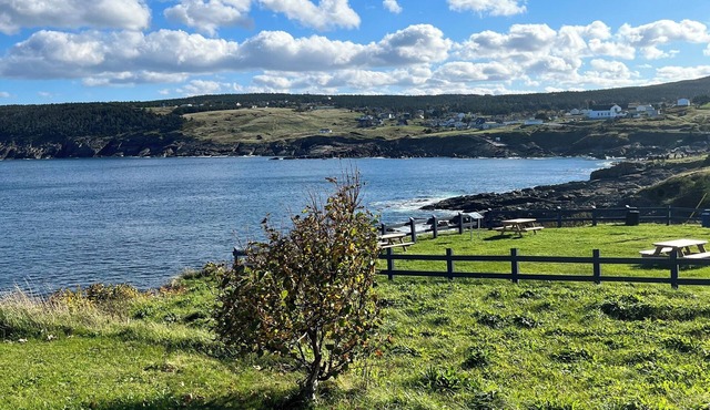 "Home From Away" Oceanview Home Pouch Cove NFLD (year round)