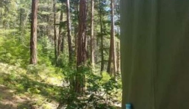 Lake Glamping with Private Beach