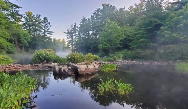 Lakefront Hideaway w/Private Beach + Dock | Parry Sound