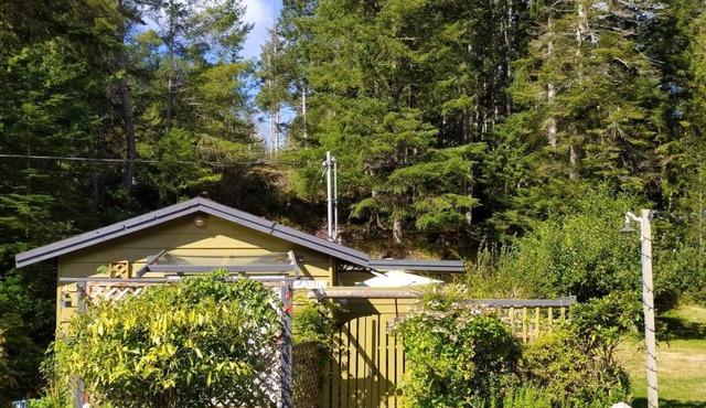 Lily Lake Rock Cabin surrounded by nature