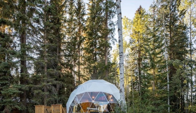 LSD- Luxe Serenity Dome @ The Blaeberry Base