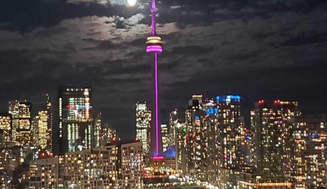 Luxury 2- Bed + Den Condo | Liberty Village | 19th Floor | CN Tower & Lake Views