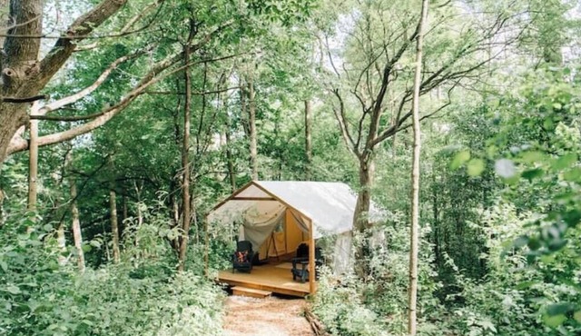 Luxury Glamping on Elora Flower Farm - Fox