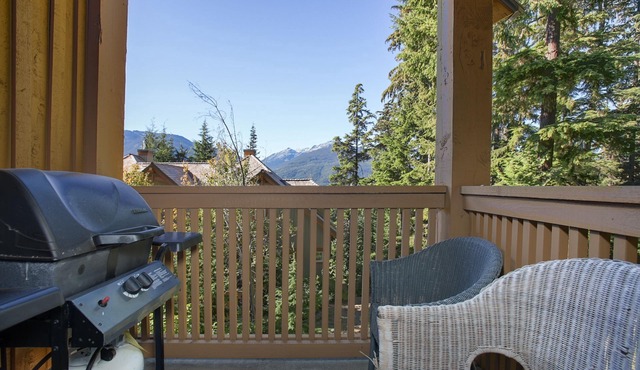 Mountain Star 16 - Ski in Walk out, Private Hot Tub, Fireplace