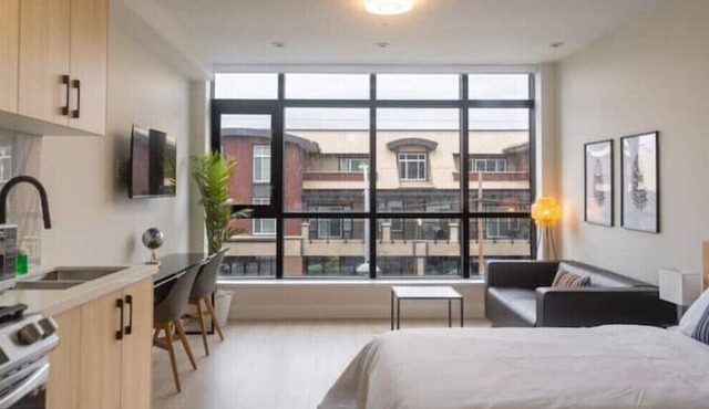 New Large Studio 2 beds + Free Parking