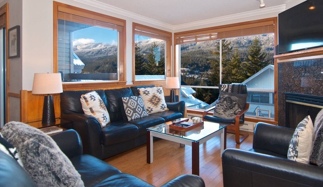 Newly remodeled Dec 2024, Private Hot tub ,easy walk to ski path for ski in/out at Creekside Gondola
