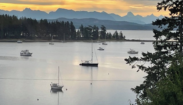 Ocean, mountain and harbour views. Family friendly house.
