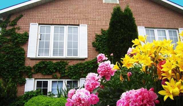 Opus 74 Bed & Breakfast