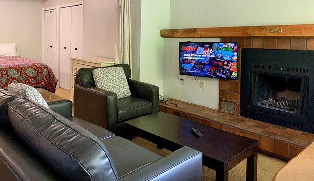 Panorama Horsethief Lodge studio condo sleeps 4: Unit 703