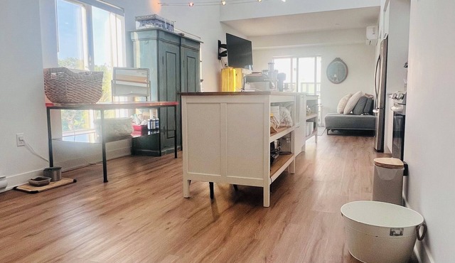 Panoramic Riverfront Penthouse Condo