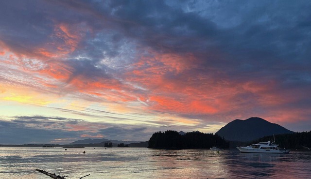 Paradise On The Water Just 4 Minutes Across By Our Boat From Downtown Tofino!