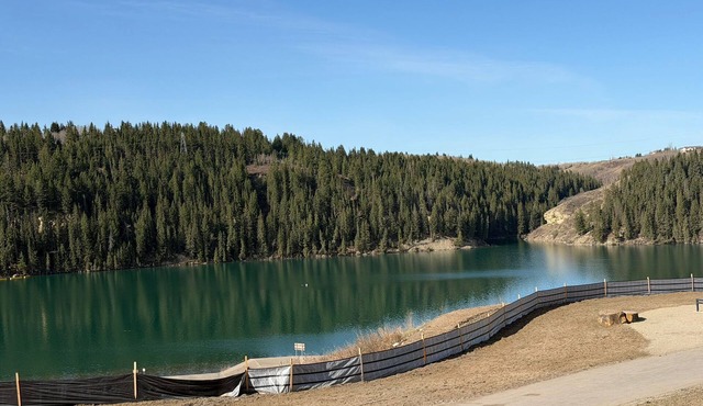 Pearl of Calgary | Scenic Riverfront Walkout 2BR | Easy access to Banff