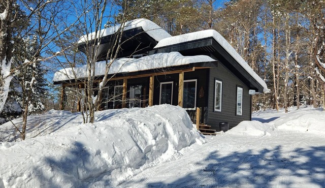 Pet Friendly - Gryffin RidgeThe Magic Forest