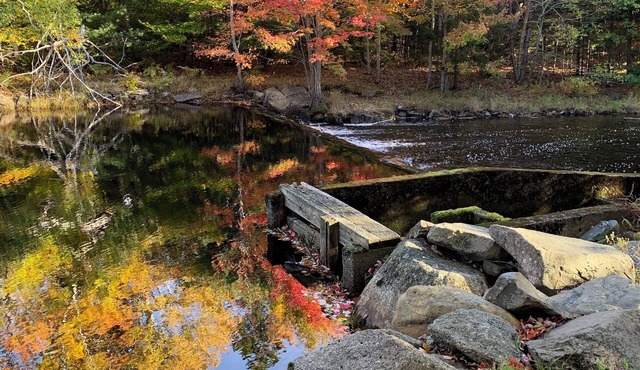 Private cottage on 8 wooded and flower-filled acres at Lake Wentworth and the Wentworth River