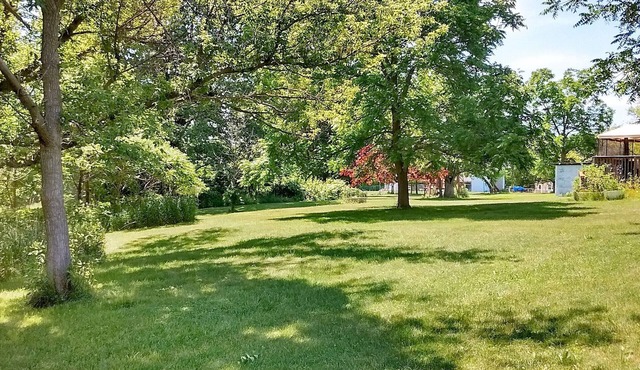 Private river in the back yard