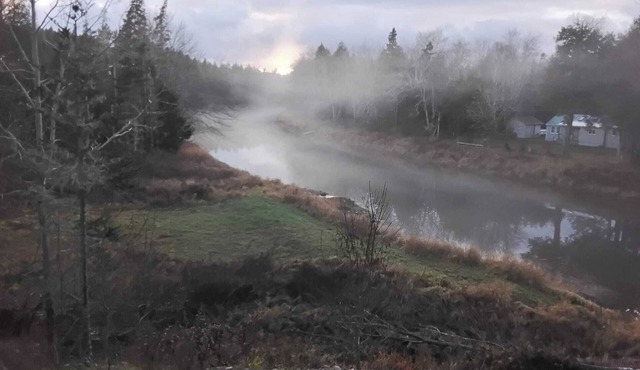 Quiet, Cozy, Rustic River House on the Stewiacke River